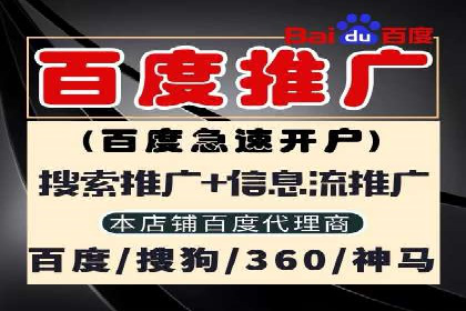 百度推广平台在电商行业的应用成功案例